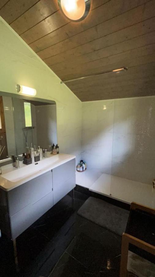 Chalet Luxueux Châtel Екстериор снимка
