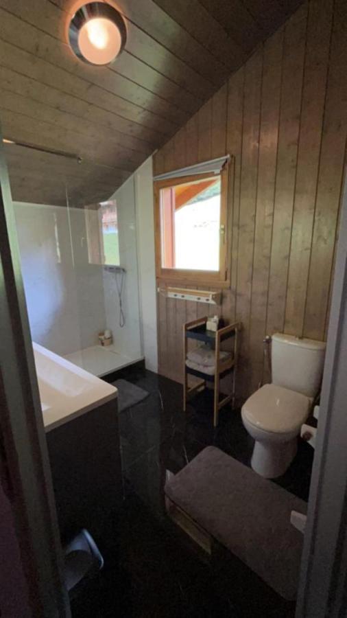 Chalet Luxueux Châtel Екстериор снимка
